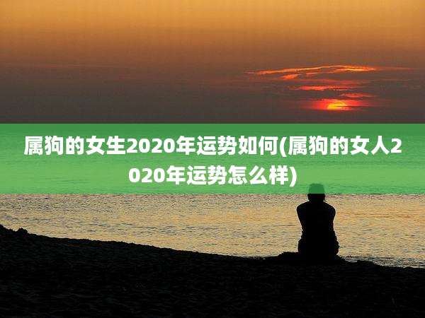 属狗的女生2020年运势如何(属狗的女人2020年运势怎么样)