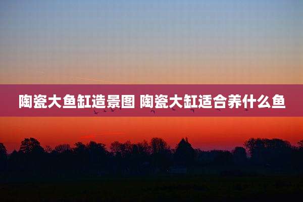 陶瓷大鱼缸造景图 陶瓷大缸适合养什么鱼