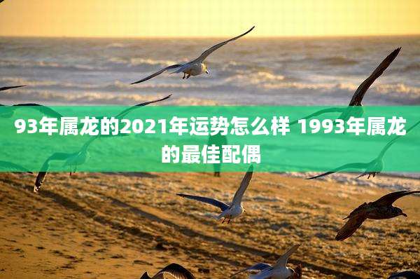 93年属龙的2021年运势怎么样 1993年属龙的最佳配偶