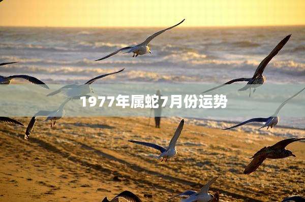 1977年属蛇7月份运势