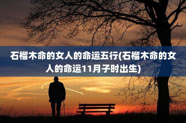 石榴木命的女人的命运五行(石榴木命的女人的命运11月子时出生)