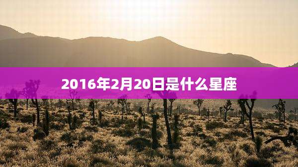 2016年2月20日是什么星座
