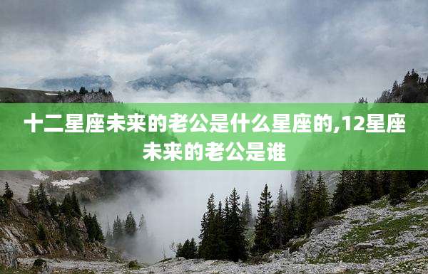 十二星座未来的老公是什么星座的,12星座未来的老公是谁