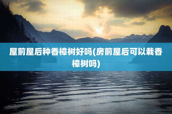 屋前屋后种香樟树好吗(房前屋后可以栽香樟树吗)