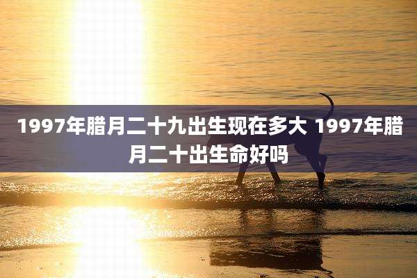 1997年腊月二十九出生现在多大 1997年腊月二十出生命好吗