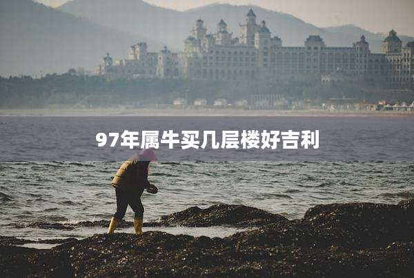 97年属牛买几层楼好吉利