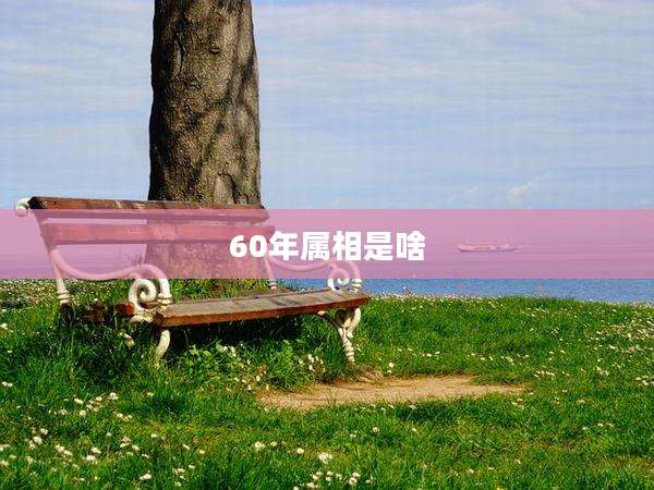 60年属相是啥