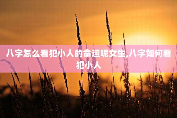 八字怎么看犯小人的命运呢女生,八字如何看犯小人