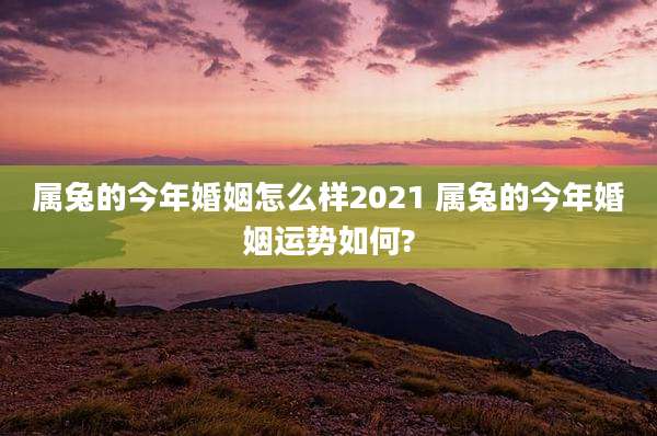 属兔的今年婚姻怎么样2021 属兔的今年婚姻运势如何?