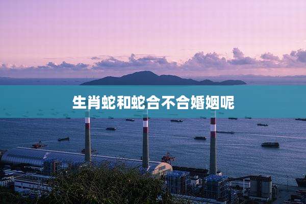生肖蛇和蛇合不合婚姻呢