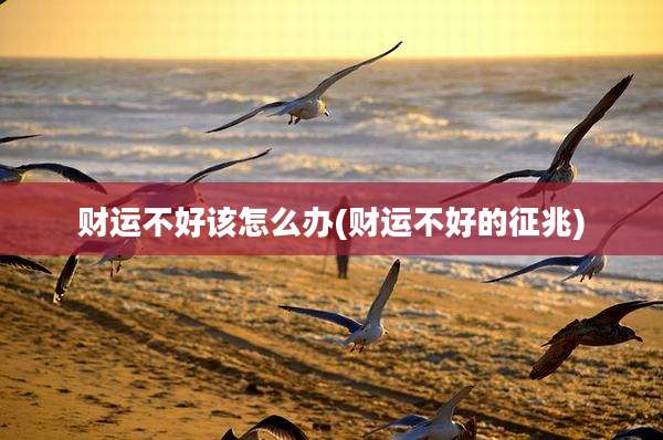 财运不好该怎么办(财运不好的征兆)