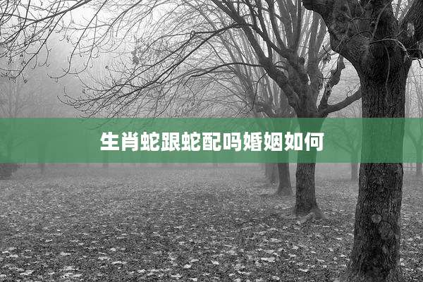生肖蛇跟蛇配吗婚姻如何