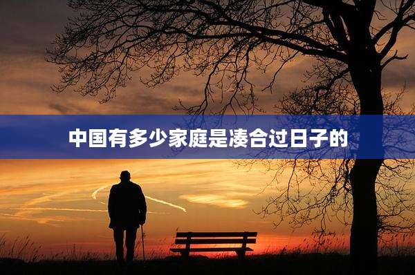 中国有多少家庭是凑合过日子的