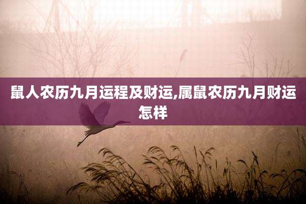 鼠人农历九月运程及财运,属鼠农历九月财运怎样