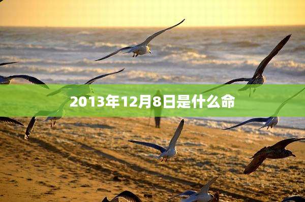 2013年12月8日是什么命