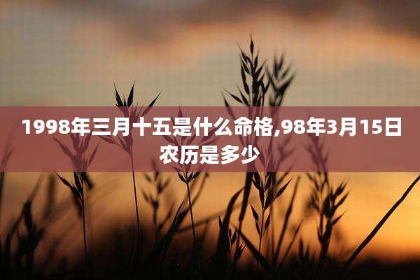 1998年三月十五是什么命格,98年3月15日农历是多少