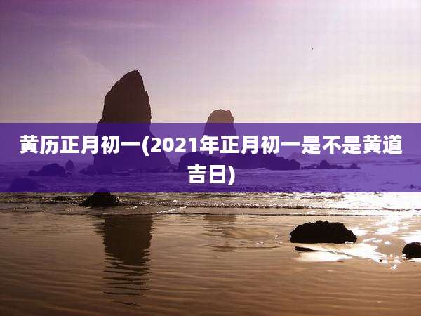 黄历正月初一(2021年正月初一是不是黄道吉日)