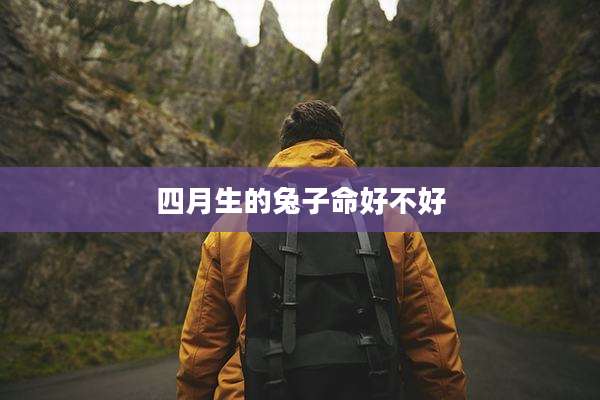 四月生的兔子命好不好
