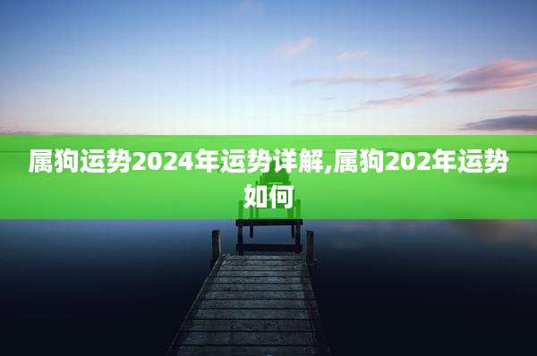 属狗运势2024年运势详解,属狗202年运势如何