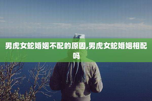 男虎女蛇婚姻不配的原因,男虎女蛇婚姻相配吗