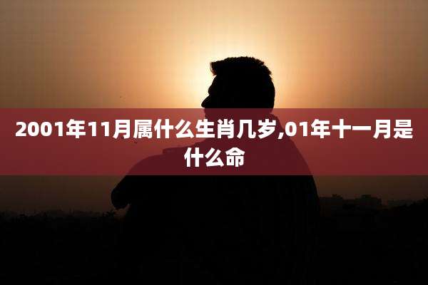 2001年11月属什么生肖几岁,01年十一月是什么命