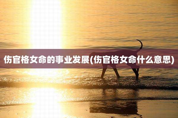 伤官格女命的事业发展(伤官格女命什么意思)