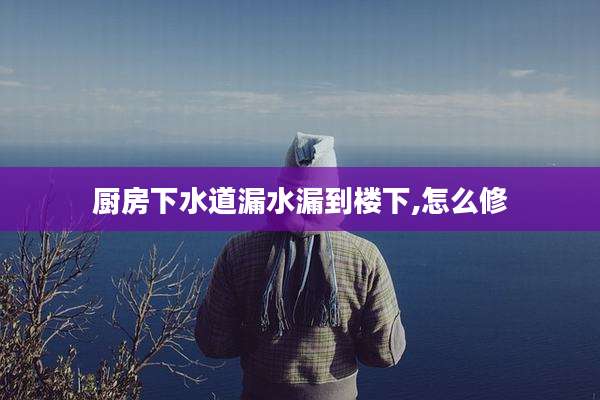 厨房下水道漏水漏到楼下,怎么修
