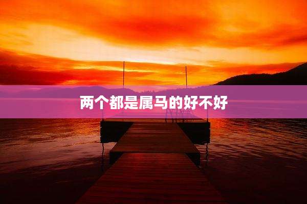 两个都是属马的好不好