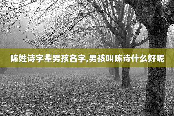 陈姓诗字辈男孩名字,男孩叫陈诗什么好呢