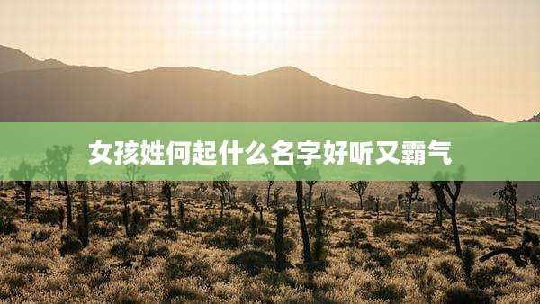 女孩姓何起什么名字好听又霸气