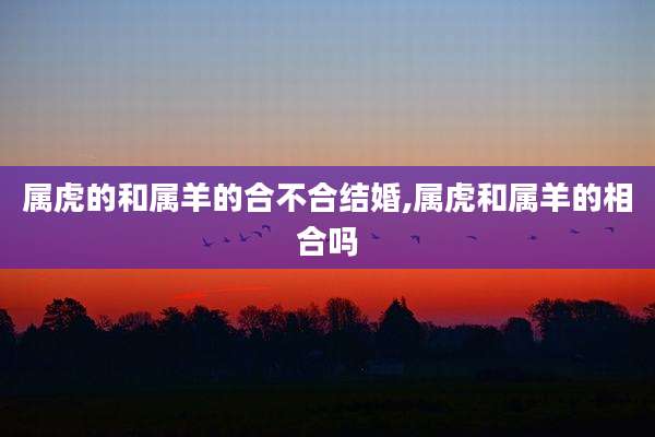 属虎的和属羊的合不合结婚,属虎和属羊的相合吗