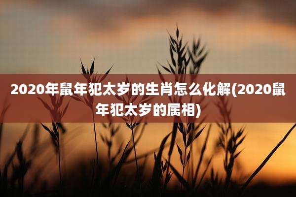 2020年鼠年犯太岁的生肖怎么化解(2020鼠年犯太岁的属相)