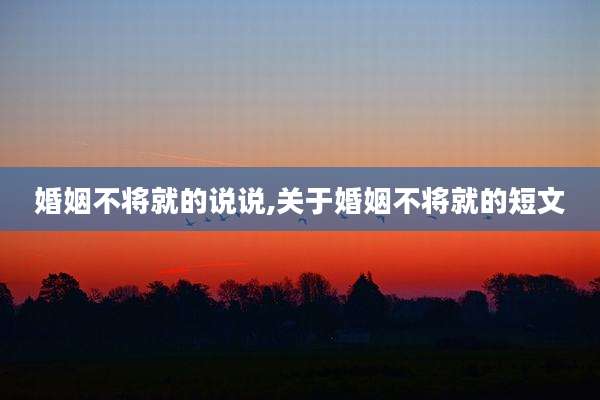婚姻不将就的说说,关于婚姻不将就的短文
