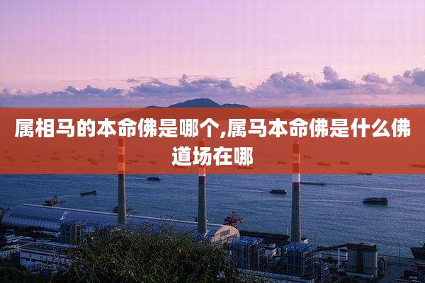 属相马的本命佛是哪个,属马本命佛是什么佛道场在哪
