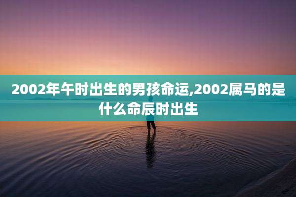 2002年午时出生的男孩命运,2002属马的是什么命辰时出生