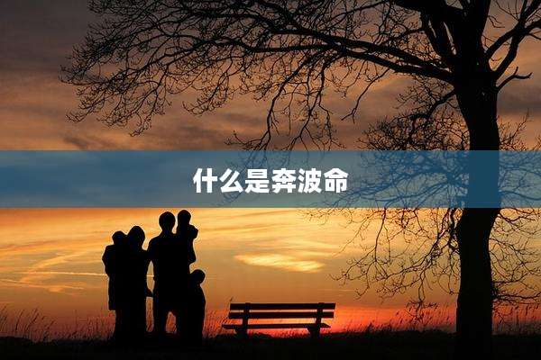 什么是奔波命