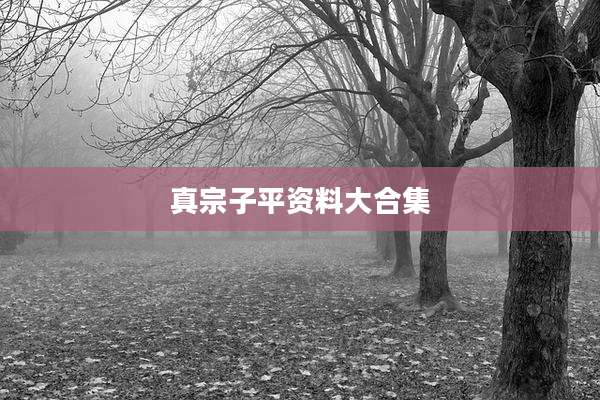 真宗子平资料大合集
