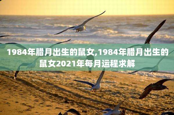 1984年腊月出生的鼠女,1984年腊月出生的鼠女2021年每月运程求解