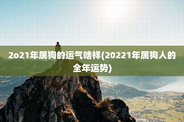 2o21年属狗的运气啥样(20221年属狗人的全年运势)