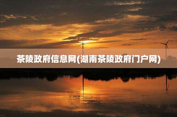 茶陵***信息网(湖南茶陵***门户网)