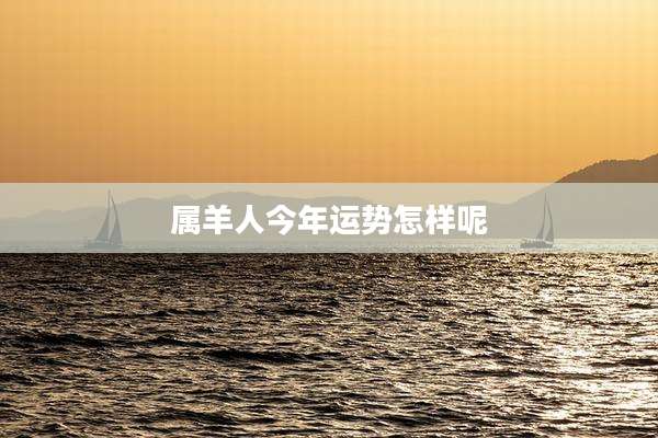 属羊人今年运势怎样呢