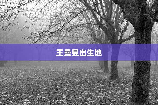 王曼昱出生地