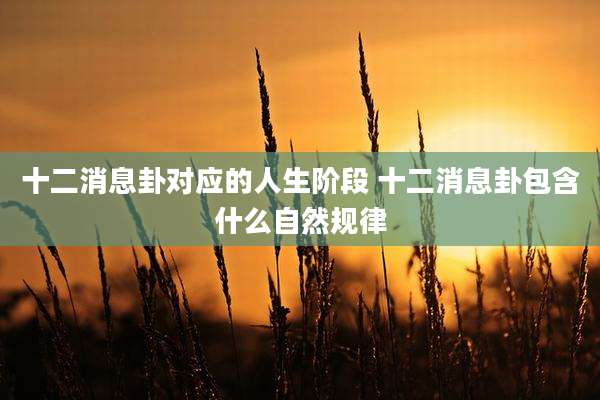 十二消息卦对应的人生阶段 十二消息卦包含什么自然规律