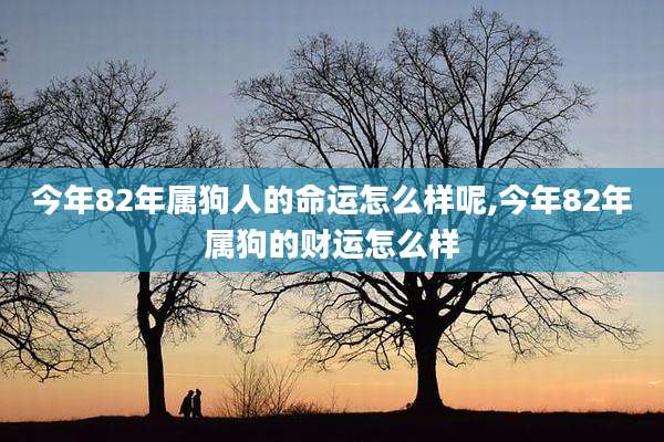 今年82年属狗人的命运怎么样呢,今年82年属狗的财运怎么样