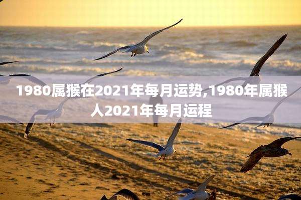 1980属猴在2021年每月运势,1980年属猴人2021年每月运程