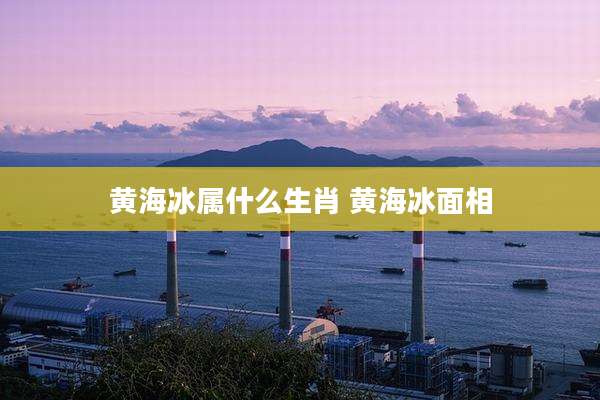 黄海冰属什么生肖 黄海冰面相
