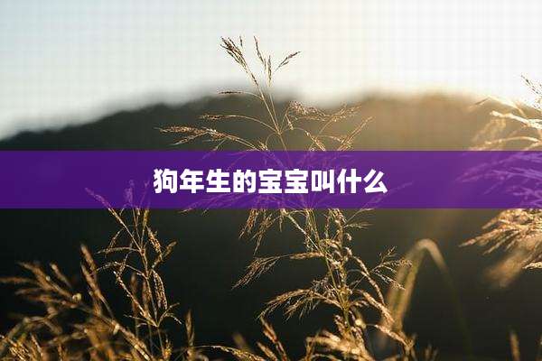 狗年生的宝宝叫什么