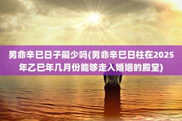 男命辛巳日子嗣少吗(男命辛巳日柱在2025年乙巳年几月份能够走入婚姻的殿堂)