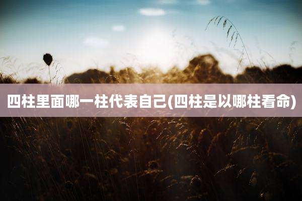 四柱里面哪一柱代表自己(四柱是以哪柱看命)