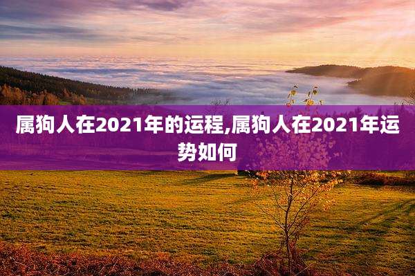 属狗人在2021年的运程,属狗人在2021年运势如何
